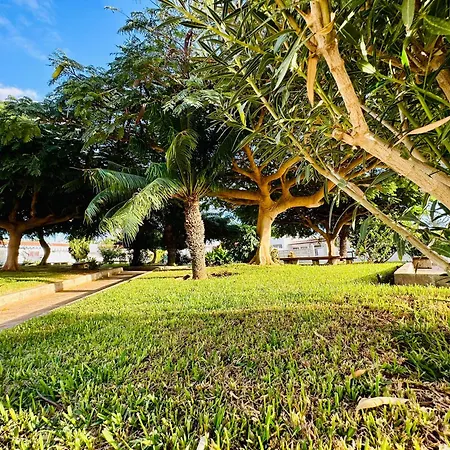 Casa Una Bungalow Delux Arona (Tenerife) Exterior photo