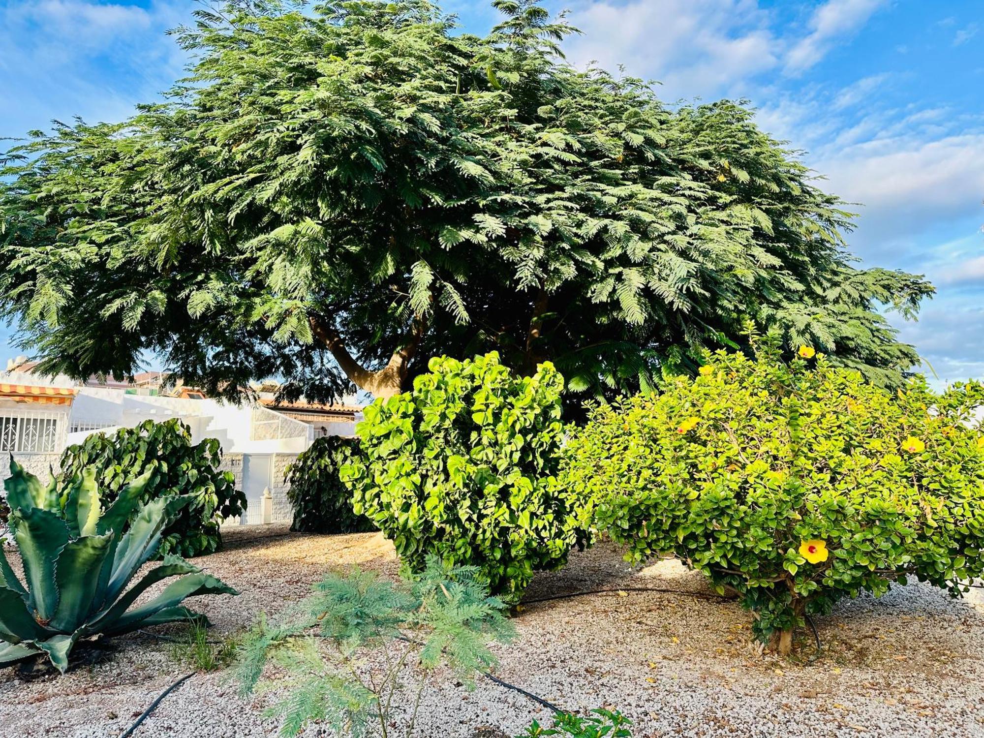 Apartament Casa Delux